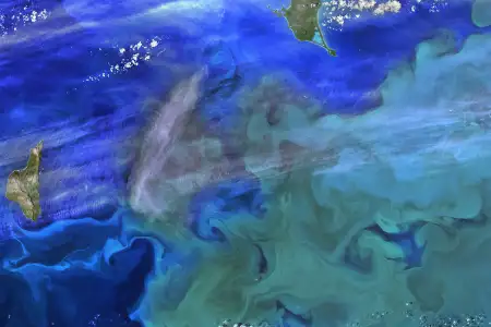 Satellite image