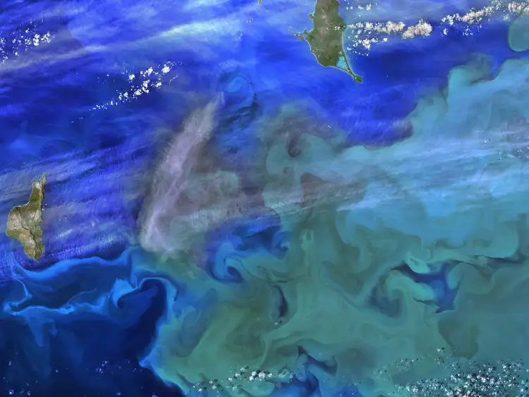 Satellite image