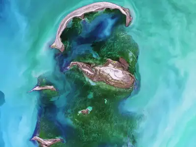 Satellite image
