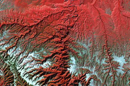 Satellite image