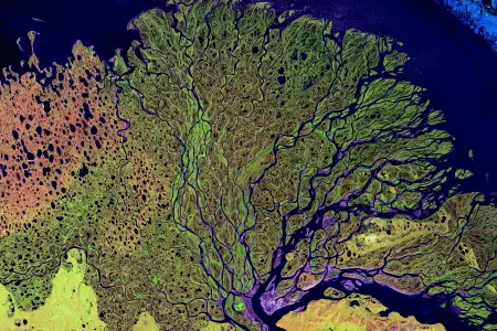 Satellite image