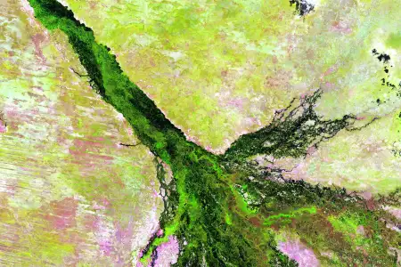 Satellite image