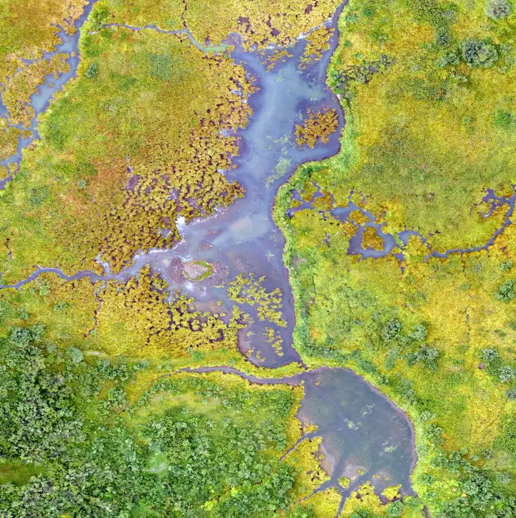 Drone image of a fen in the Rocky Mountains of Colorado